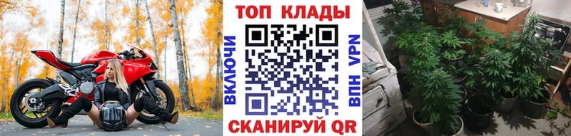 ГАШИШ Игра