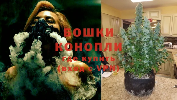 крисы Новодвинск