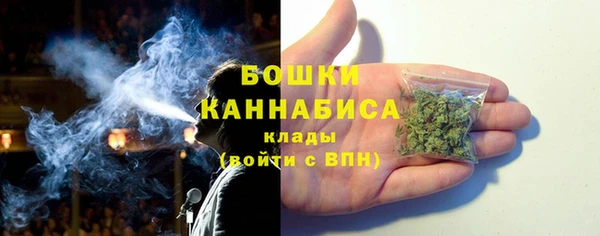 крисы Новодвинск