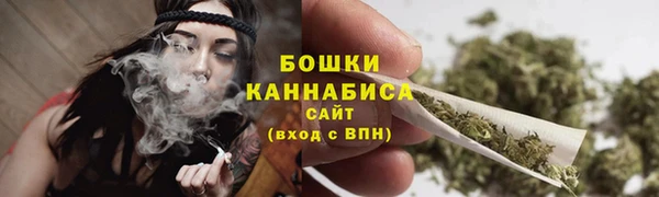 spice Ряжск