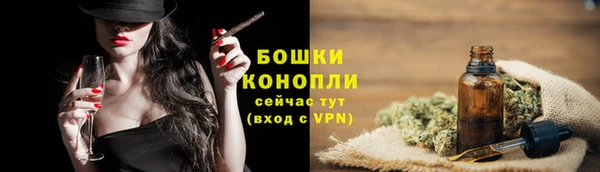 каннабис Новозыбков