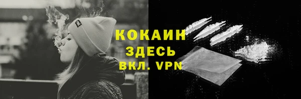 крисы Новодвинск