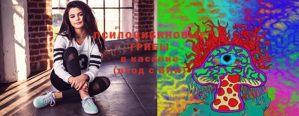 крисы Новодвинск