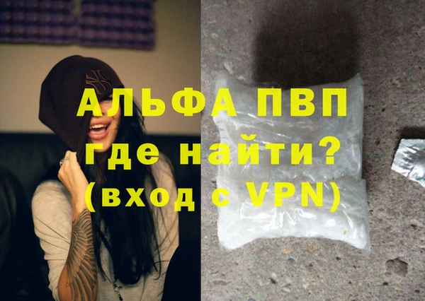 крисы Новодвинск