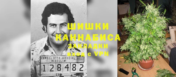 крисы Новодвинск