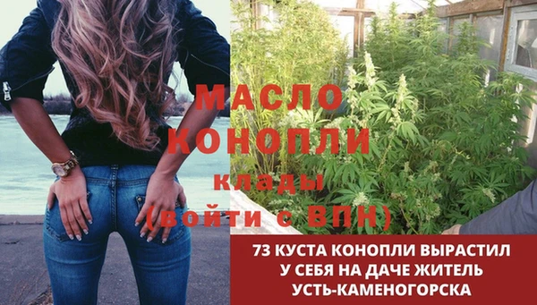 крисы Новодвинск