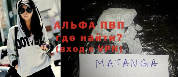 стаф Новокубанск