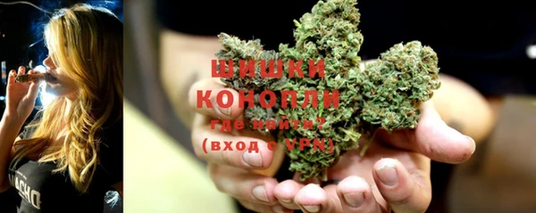 каннабис Новозыбков
