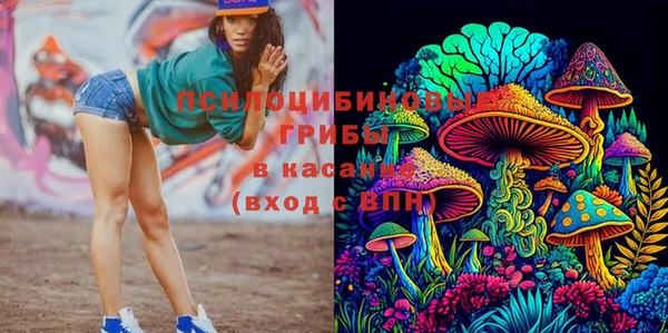 каннабис Новозыбков