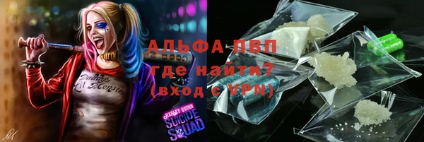 стаф Новокубанск