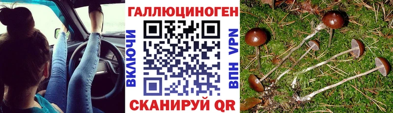 OMG   Игра  Псилоцибиновые грибы прущие грибы 