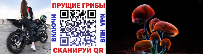 Псилоцибиновые грибы мухоморы Игра